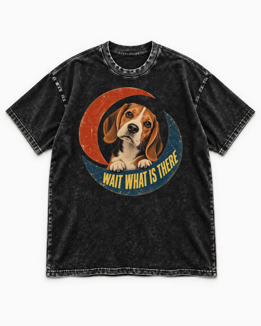Wait What Is There Beagle Crescent Washed Tee in Black, flat lay product photo