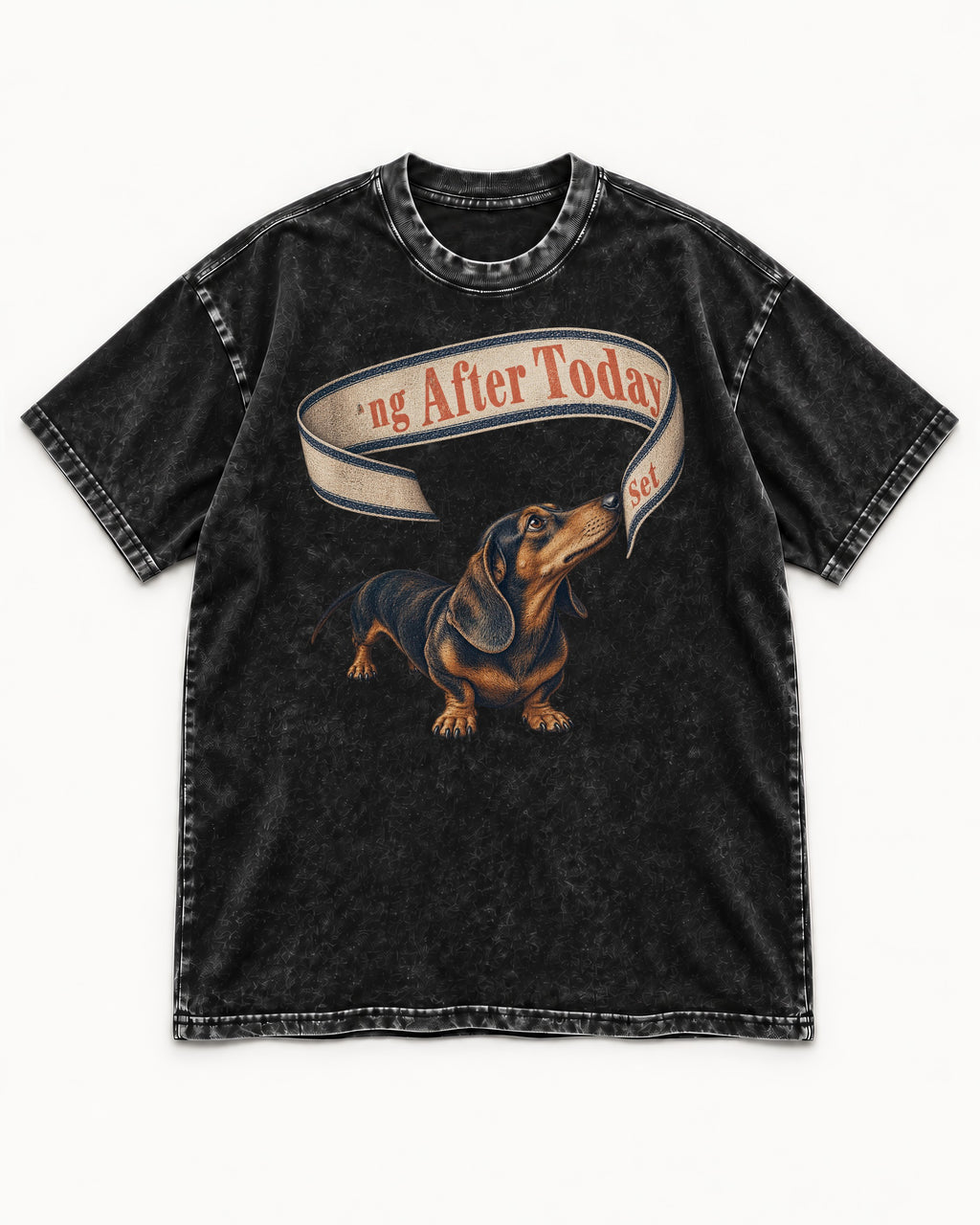 Dachshund ng After Today Set Ribbon Graphic Washed Tee in Black, flat lay product photo