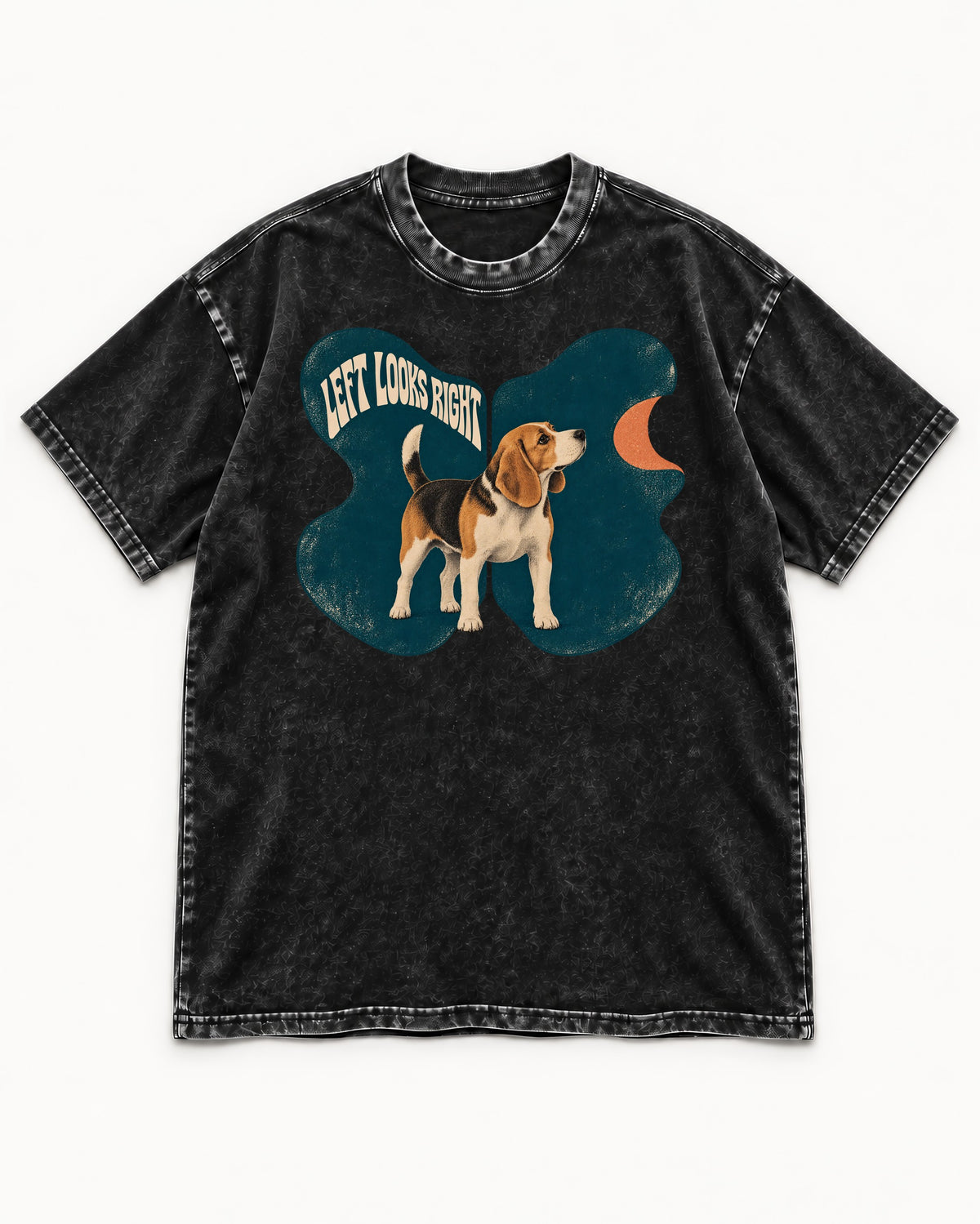Left Looks Right Beagle Abstract Shapes Washed Tee in Black, flat lay product photo