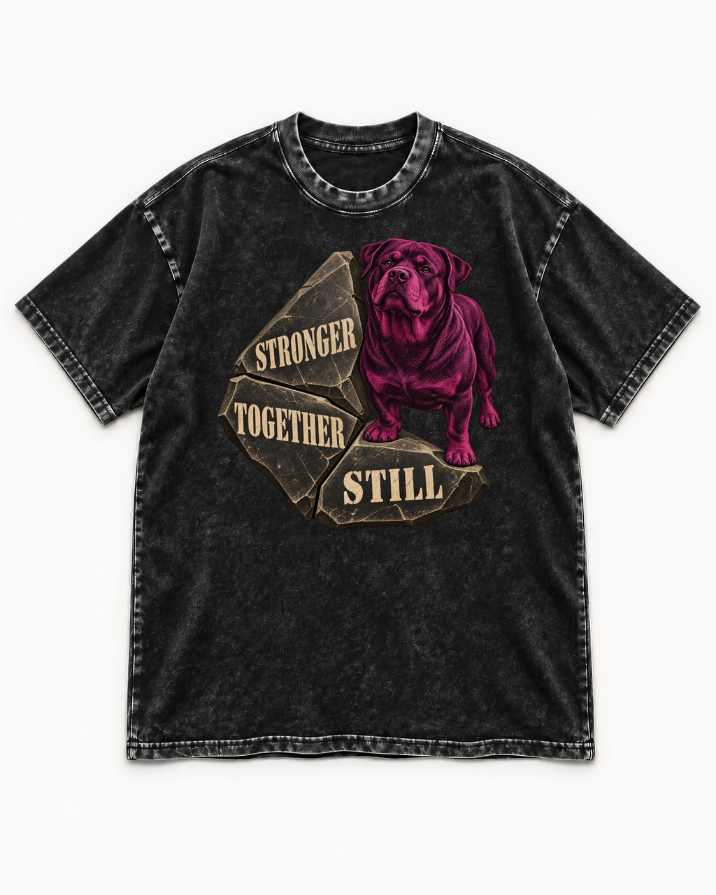 Rottweiler Stronger Together Still Foundation Stone Graphic Washed Tee in Black, flat lay product photo