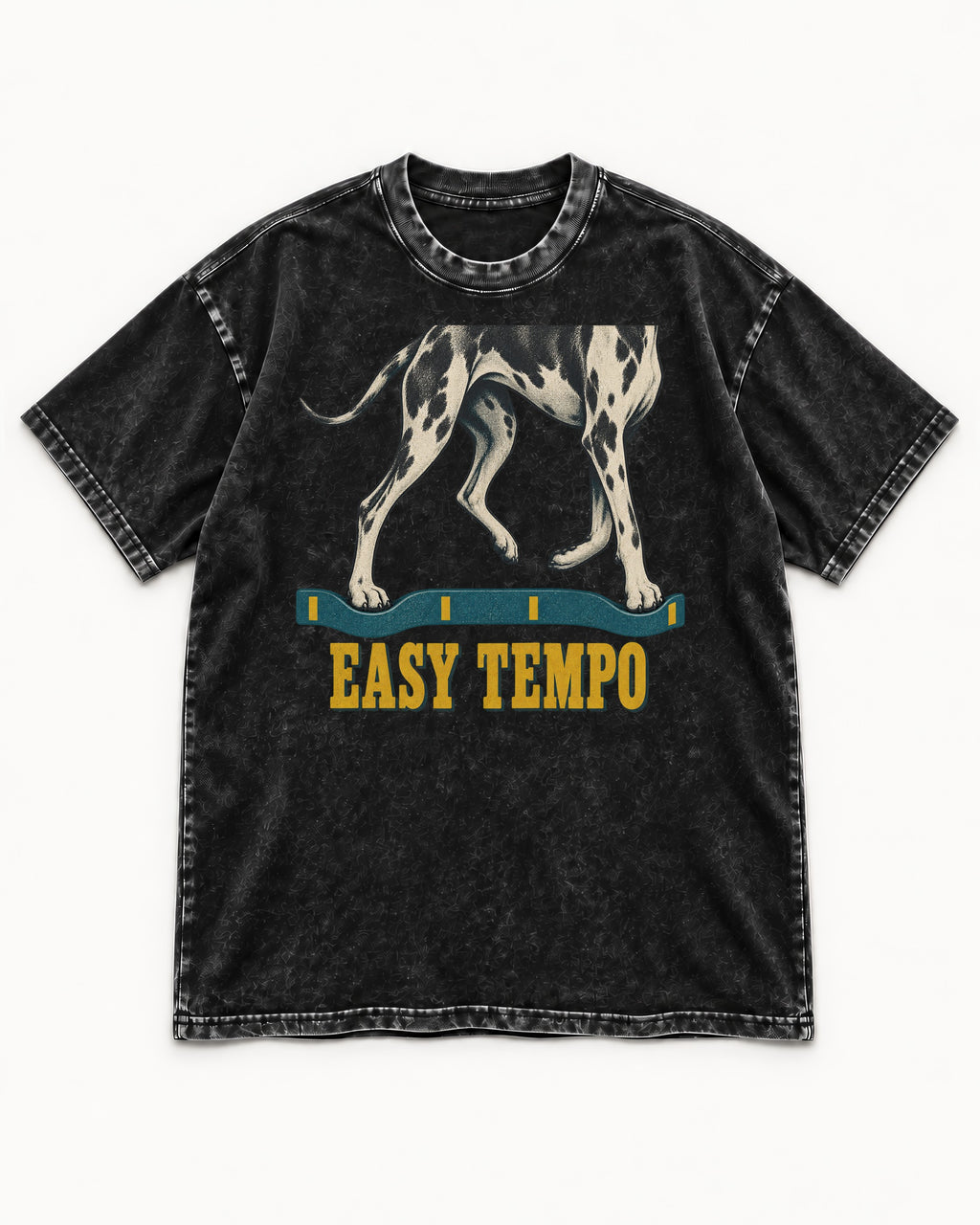 Great Dane Easy Tempo Elastic Band Legs Graphic Washed Tee in Black, flat lay product photo