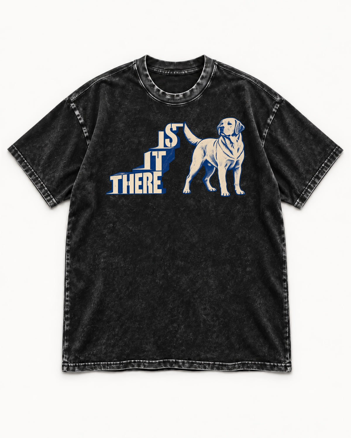 Labrador Retriever Is It There Stair-Step Graphic Washed Tee in Black, flat lay product photo
