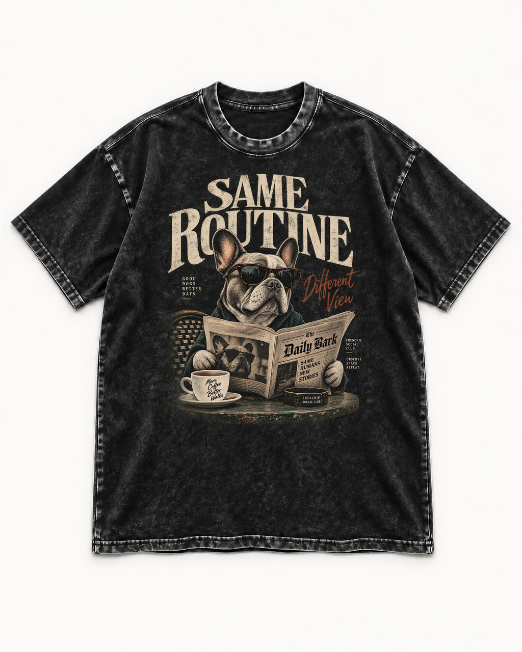 Frenchie Same Routine Different View Graphic Washed Tee in Black, flat lay product photo