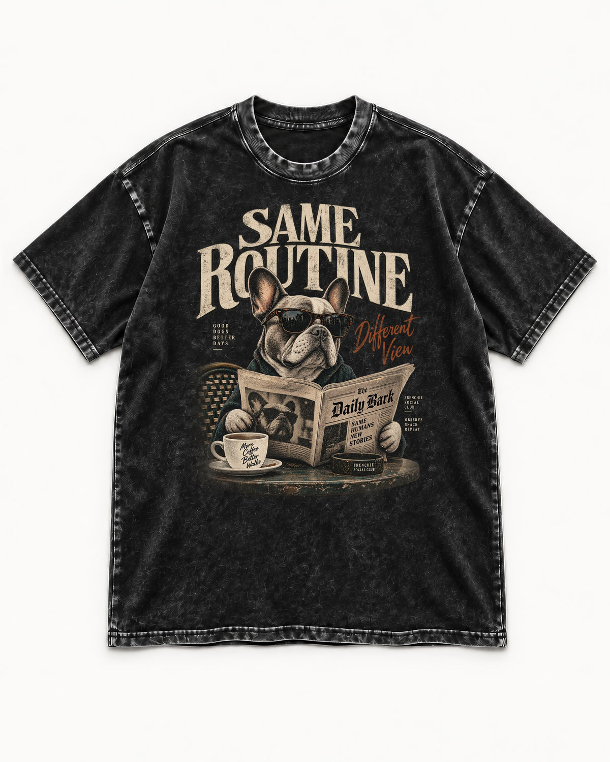 Frenchie Same Routine Different View Graphic Washed Tee in Black, flat lay product photo