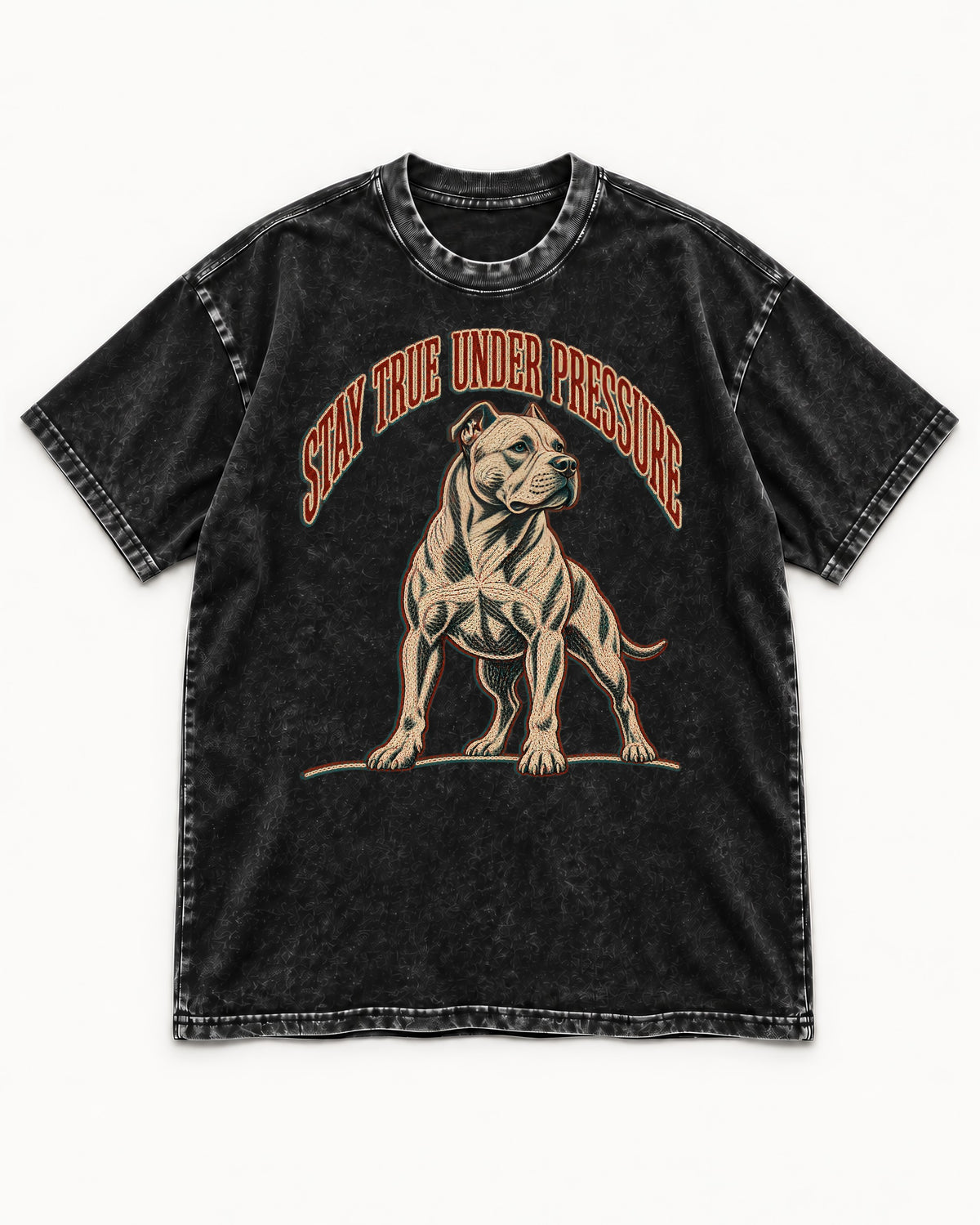 Pitbull Stay True Under Pressure Stance Graphic Washed Tee in Black, flat lay product photo