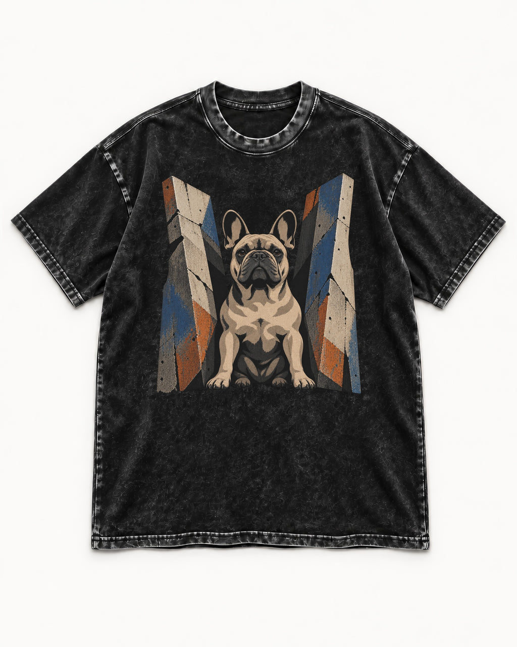 Frenchie Concrete Diplomat Barrier Portrait Washed Tee in Black, flat lay product photo