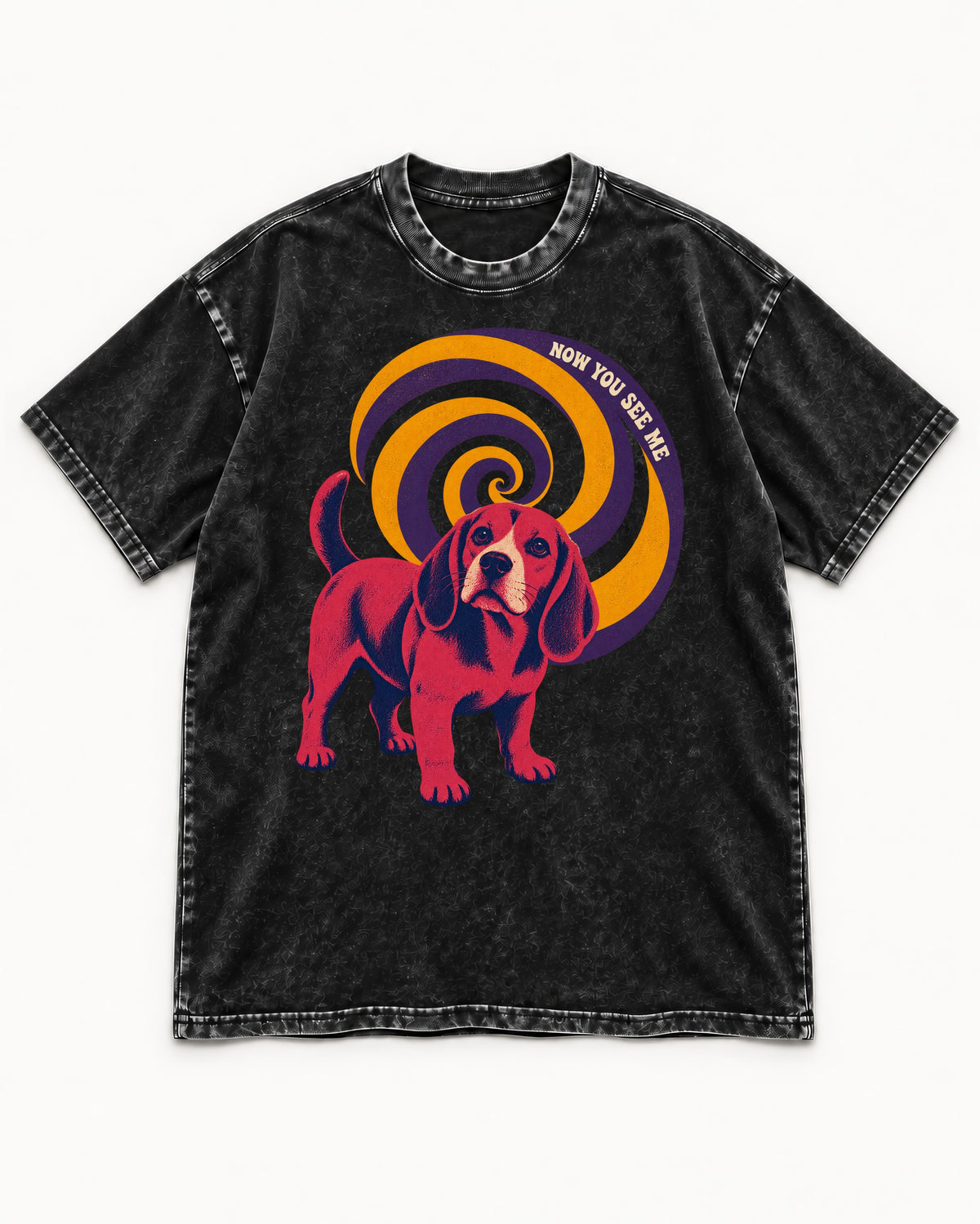 Now You See Me Beagle Spiral Washed Tee in Black, flat lay product photo