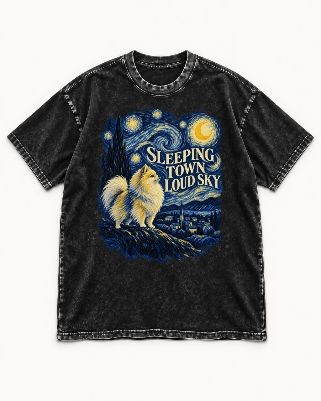 Pomeranian Sleeping Town Loud Sky Starry Night Graphic Washed Tee in Black, flat lay product photo
