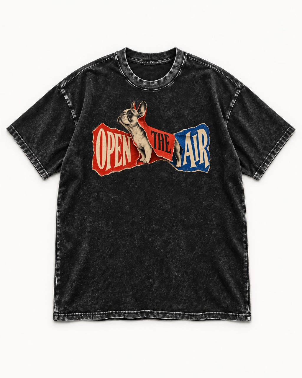 Frenchie Open the Air Torn Poster Graphic Washed Tee in Black, flat lay product photo