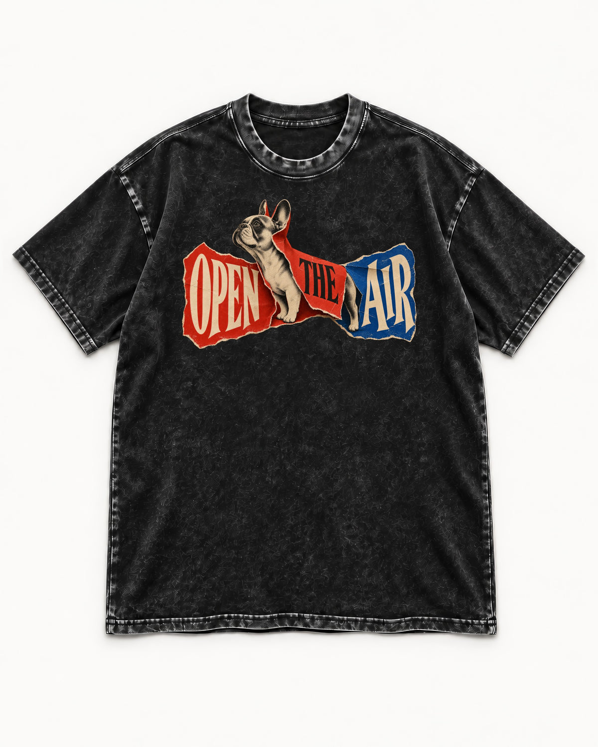 Frenchie Open the Air Torn Poster Graphic Washed Tee in Black, flat lay product photo