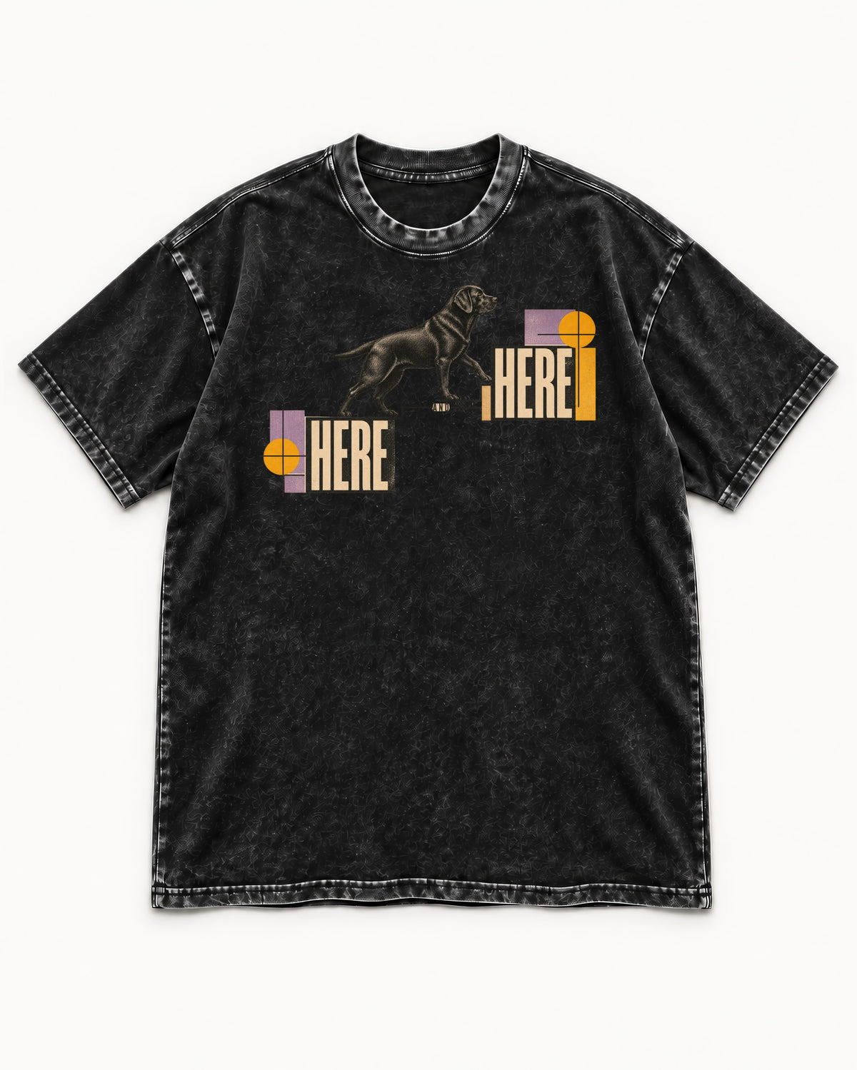 Here and Here Stepping Labrador Retriever Graphic Washed Tee in Black, flat lay product photo