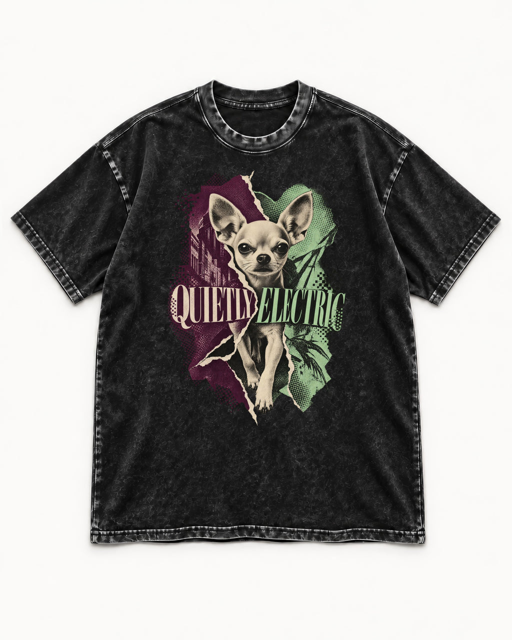 Chihuahua Quietly Electric Washed Tee in Black, flat lay product photo