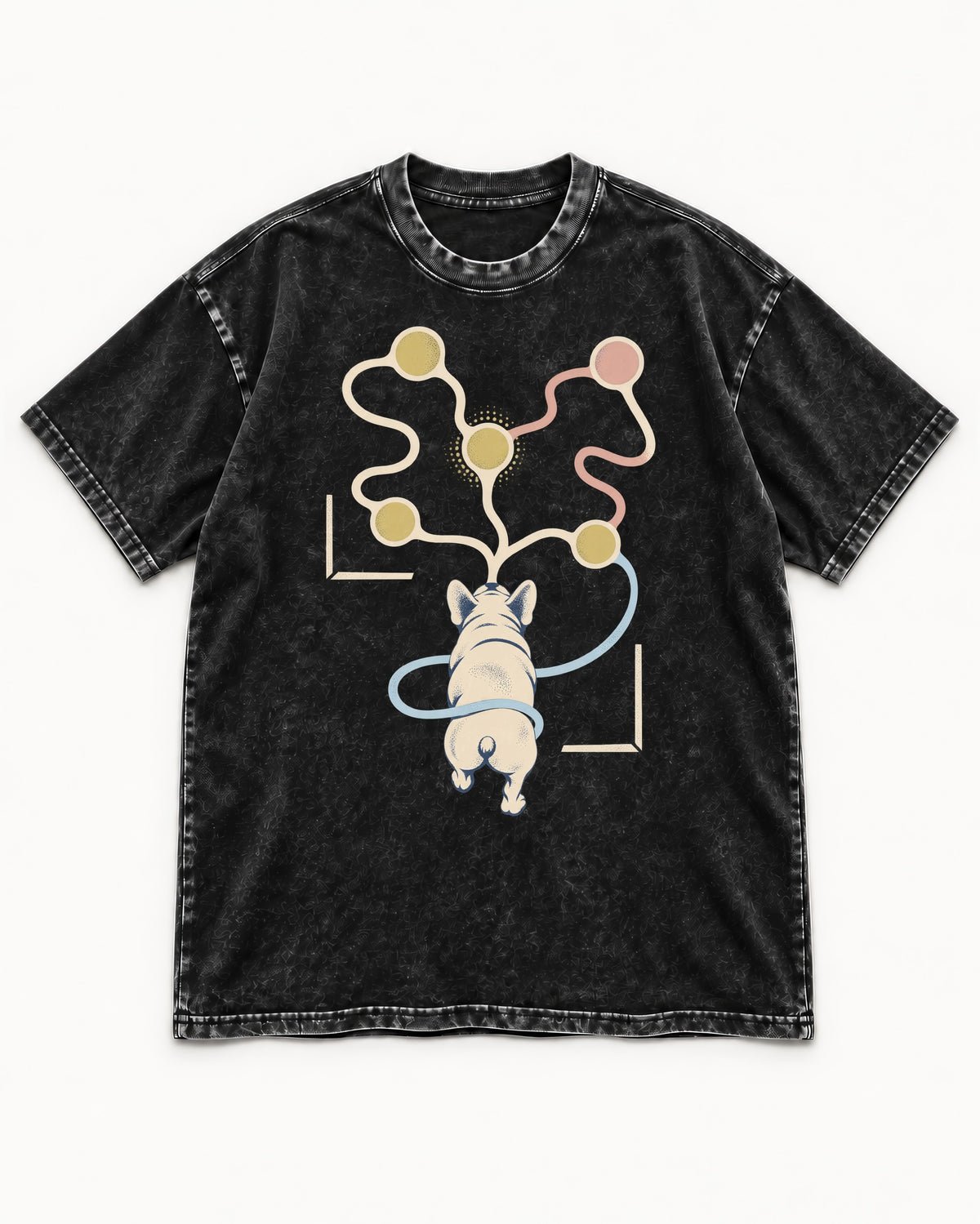 Frenchie Scent Circuit Rear View Graphic Washed Tee in Black, flat lay product photo