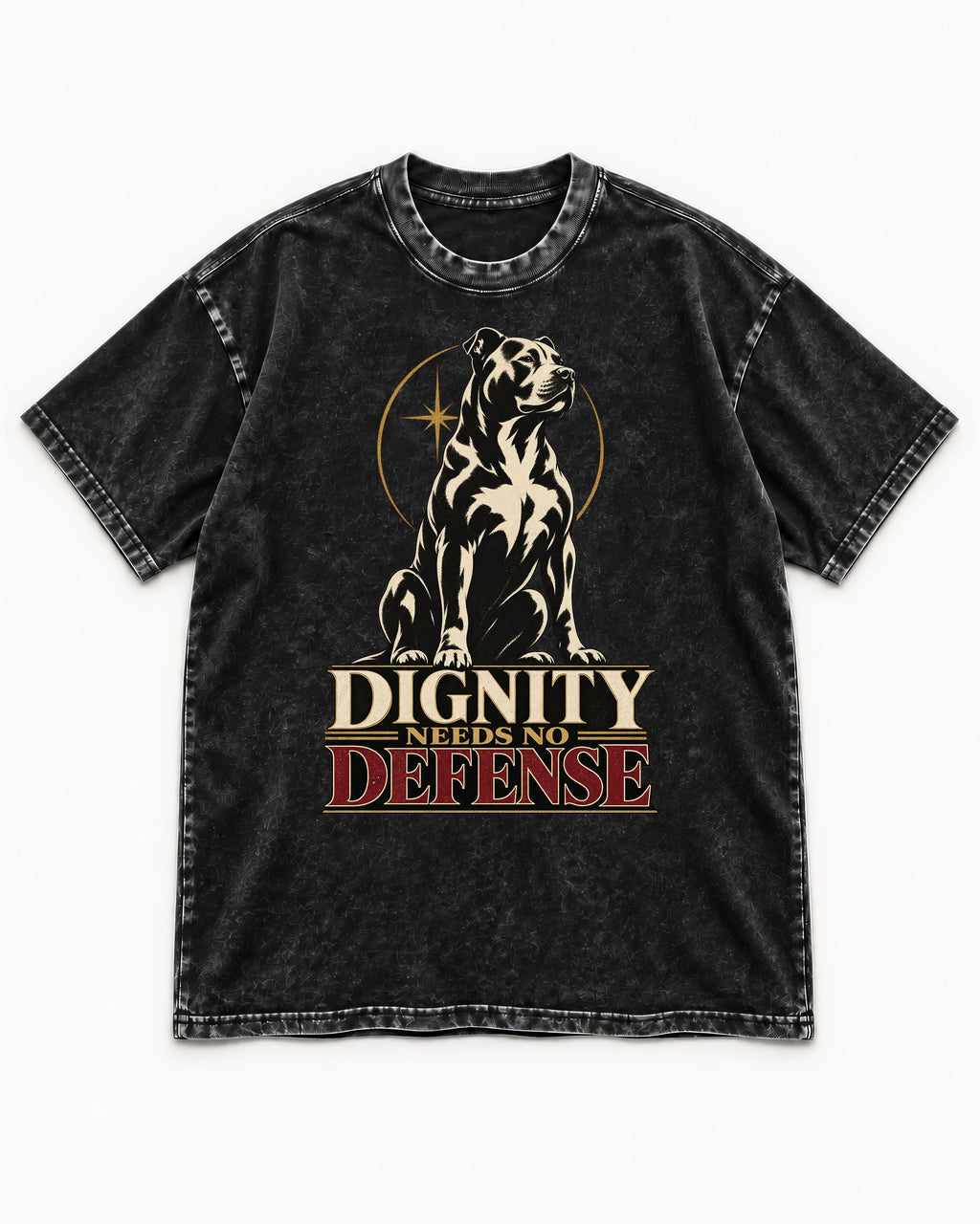 Pitbull Dignity Needs No Defense Seated Emblem Graphic Washed Tee in Black, flat lay product photo