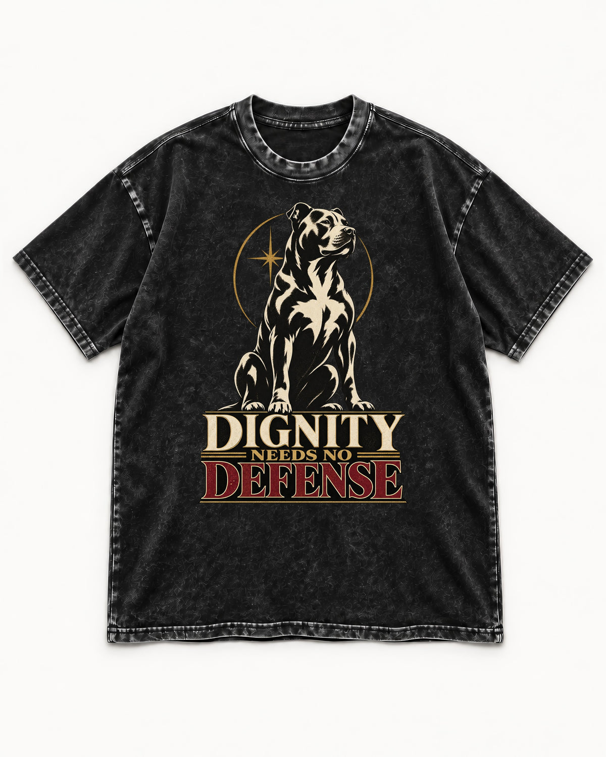 Pitbull Dignity Needs No Defense Seated Emblem Graphic Washed Tee in Black, flat lay product photo