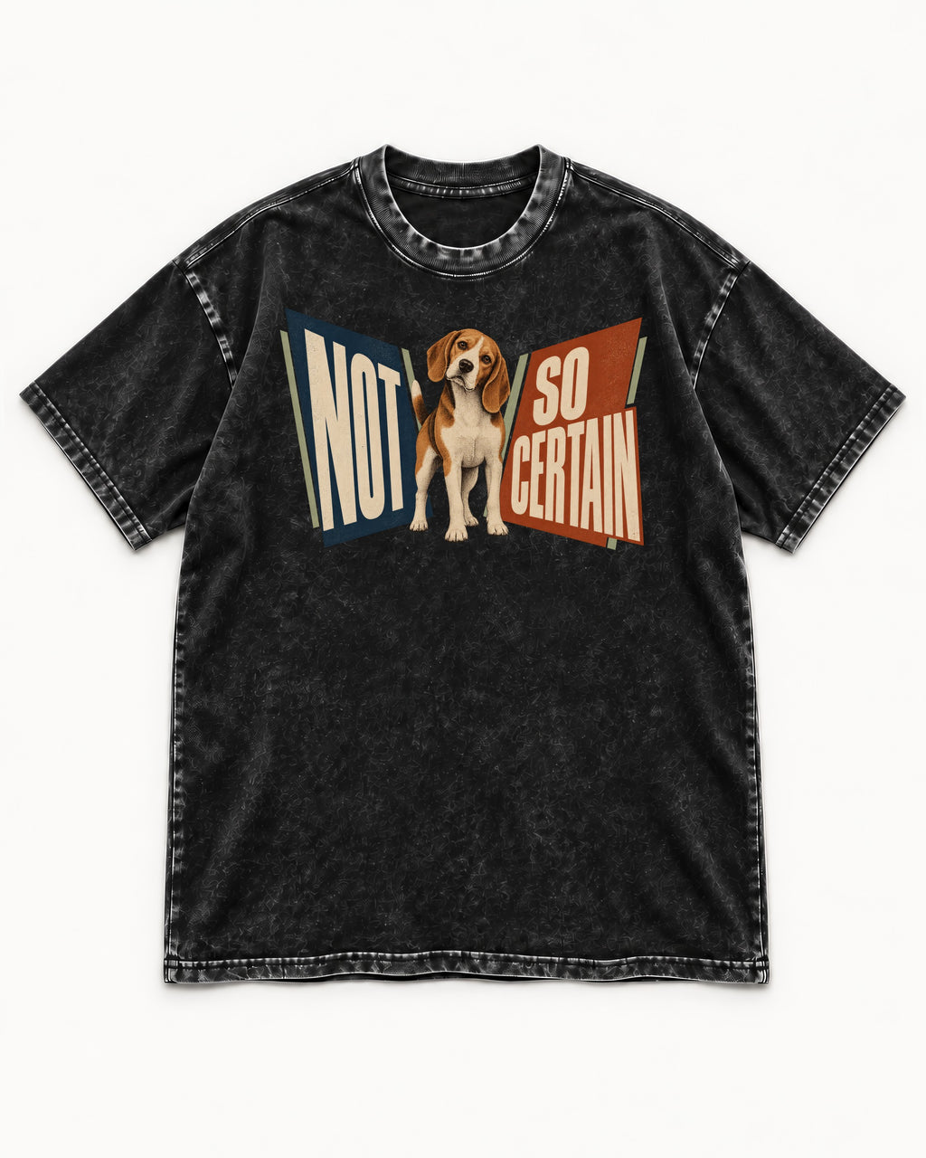 Beagle Not So Certain Retro Panel Graphic Washed Tee in Black, flat lay product photo