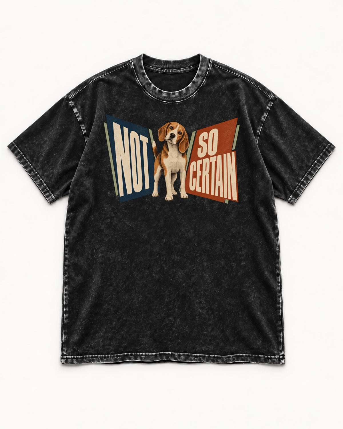 Beagle Not So Certain Retro Panel Graphic Washed Tee in Black, flat lay product photo