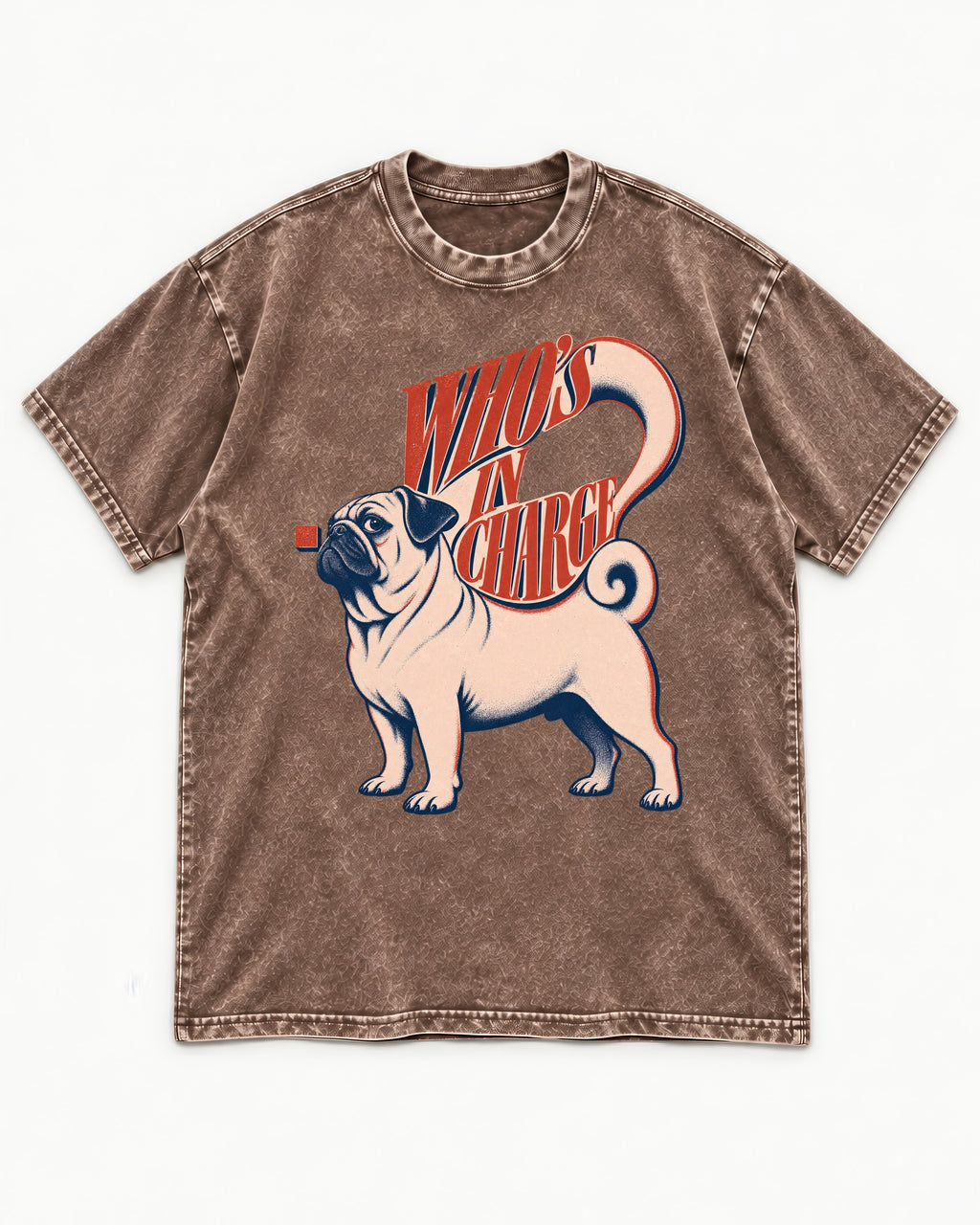Pug In Charge Washed Tee in Coffee, flat lay product photo
