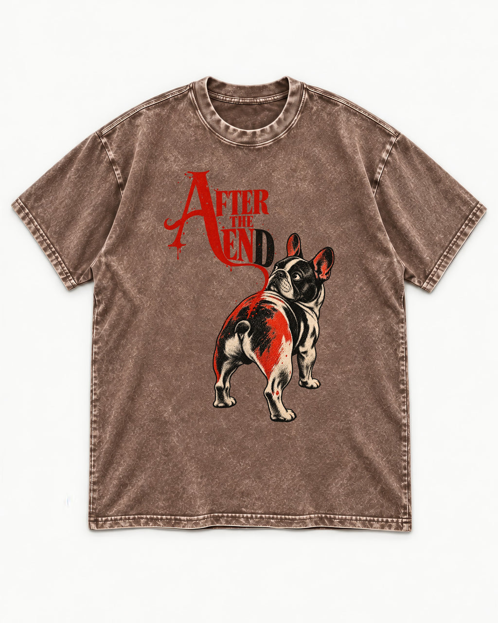 Frenchie After the End Washed Tee in Coffee, flat lay product photo