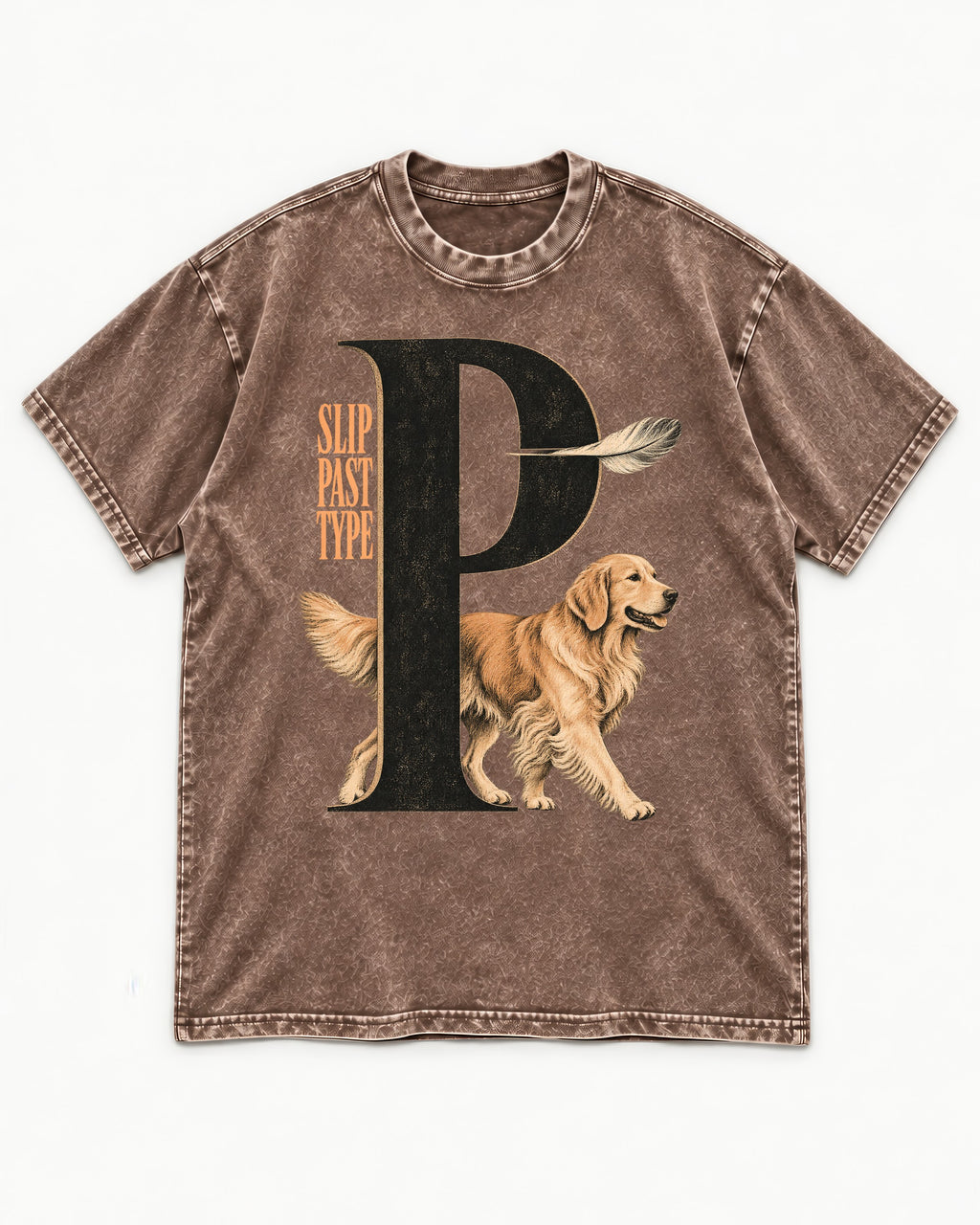 Golden Retriever Slip Past Type Washed Tee in Coffee, flat lay product photo