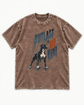 Boxer Outlast the Bad Weather Washed Tee in Coffee, flat lay product photo