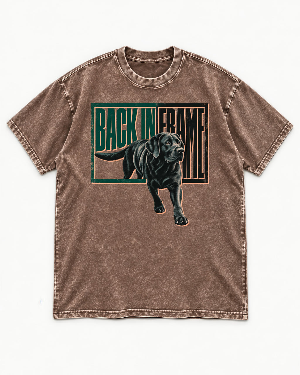 Labrador Retriever Back in Frame Washed Tee in Coffee, flat lay product photo