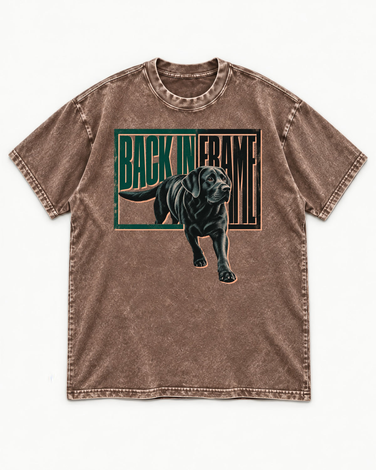 Labrador Retriever Back in Frame Washed Tee in Coffee, flat lay product photo