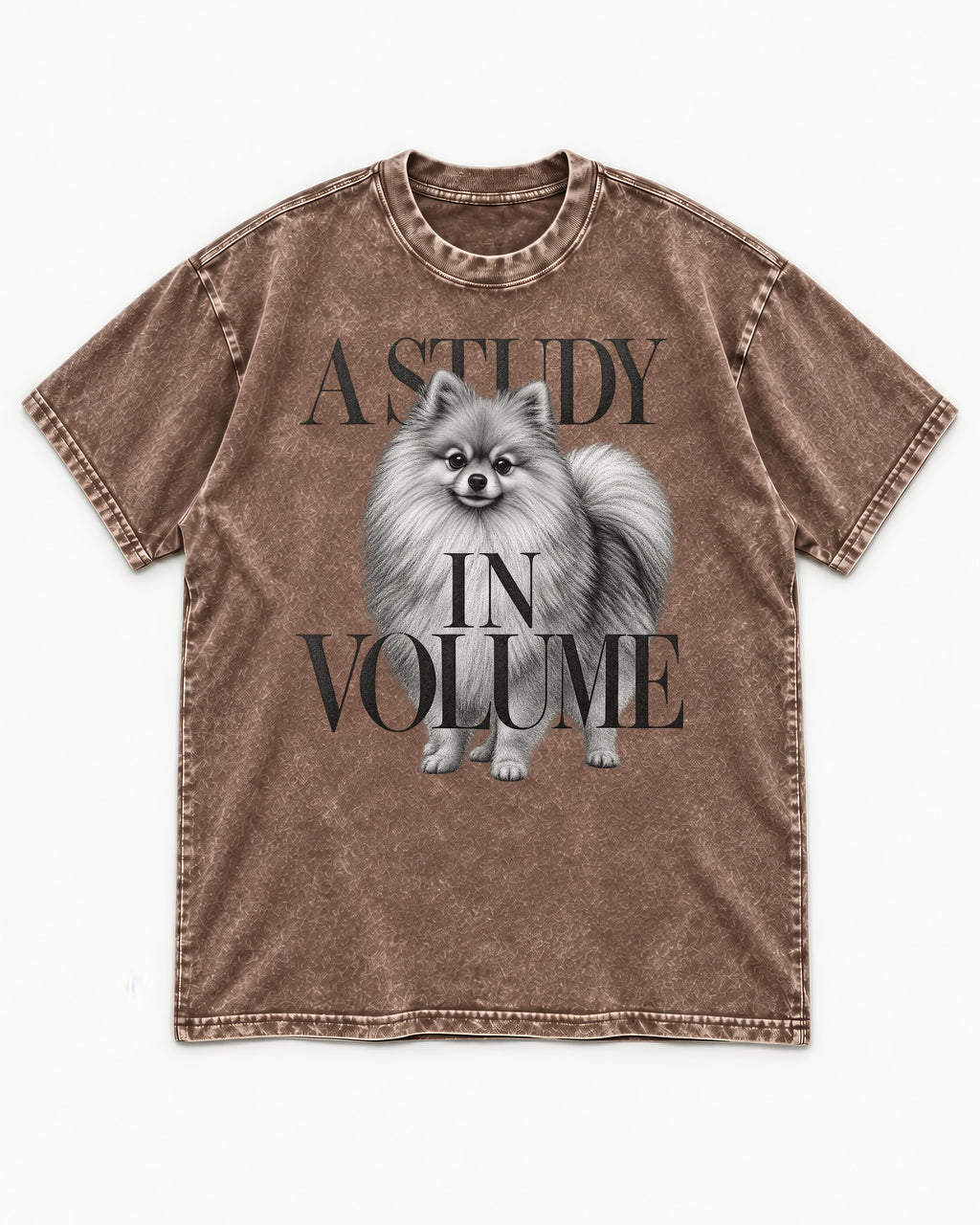 Pomeranian Study in Volume Washed Tee in Coffee, flat lay product photo
