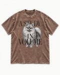 Pomeranian Study in Volume Washed Tee in Coffee, flat lay product photo