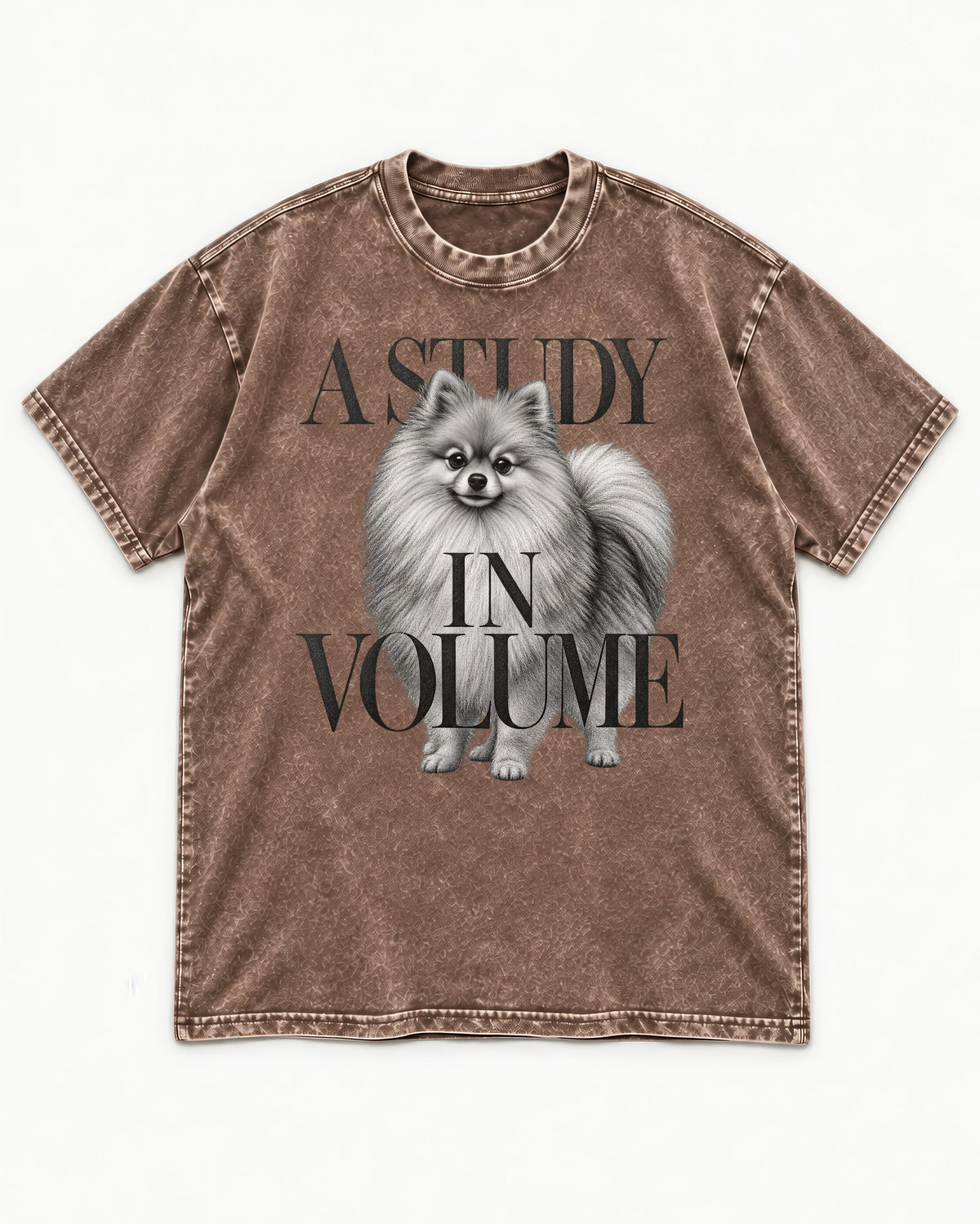 Pomeranian Study in Volume Washed Tee in Coffee, flat lay product photo