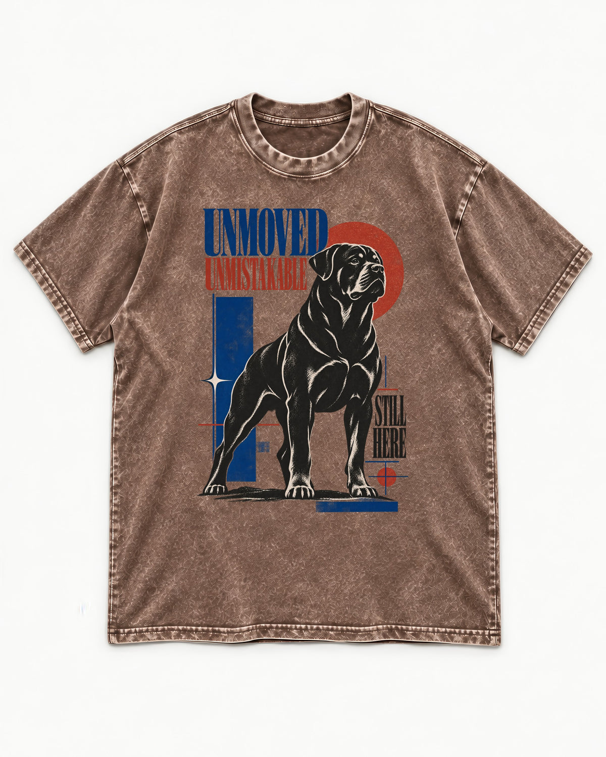 Unmoved Unmistakable Rottweiler Washed Tee in Coffee, flat lay product photo