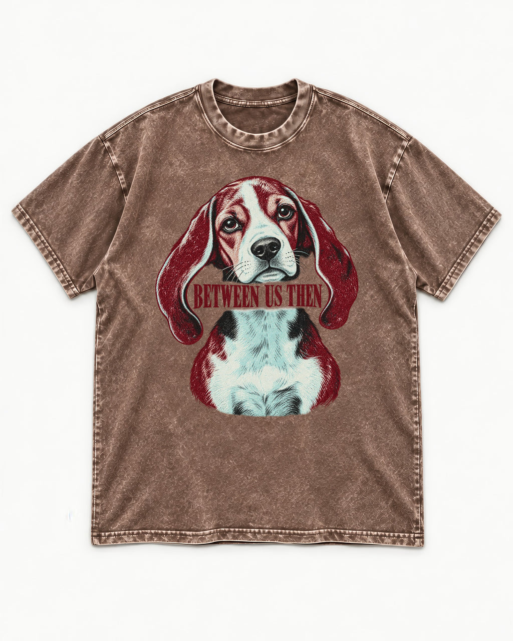Beagle Between Us Then Washed Tee in Coffee, flat lay product photo