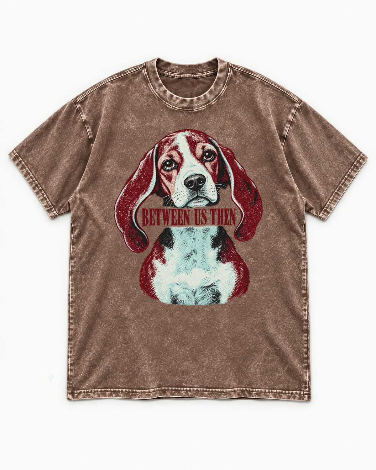 Beagle Between Us Then Washed Tee in Coffee, flat lay product photo