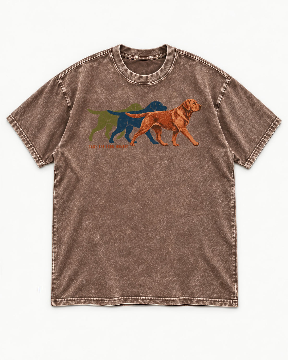 Take the Long Moment Labrador Retriever Washed Tee in Coffee, flat lay product photo