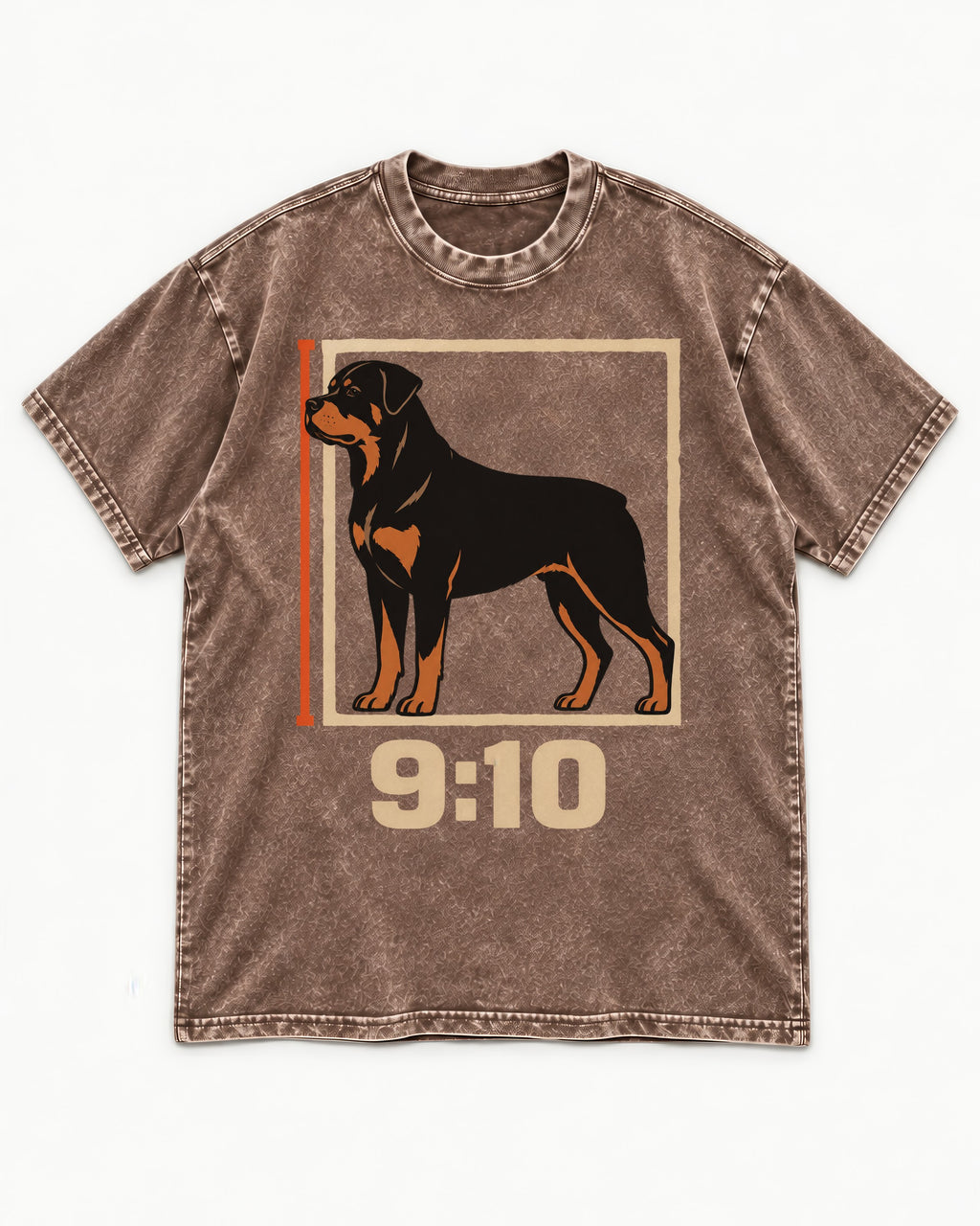 Nine Ten Rottweiler Proportion Frame Graphic Washed Tee in Coffee, flat lay product photo