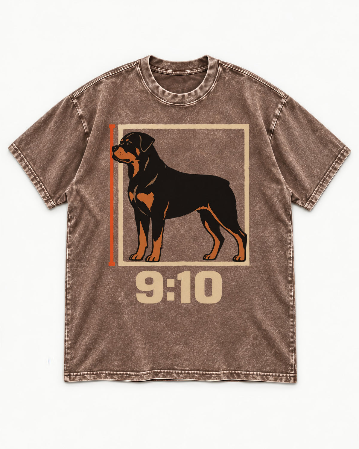 Nine Ten Rottweiler Proportion Frame Graphic Washed Tee in Coffee, flat lay product photo