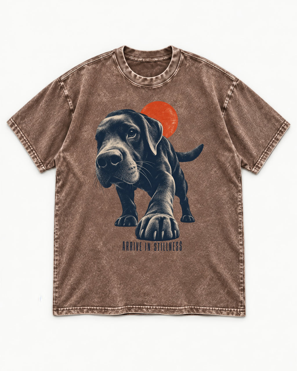 Labrador Retriever Arrive in Stillness Washed Tee in Coffee, flat lay product photo