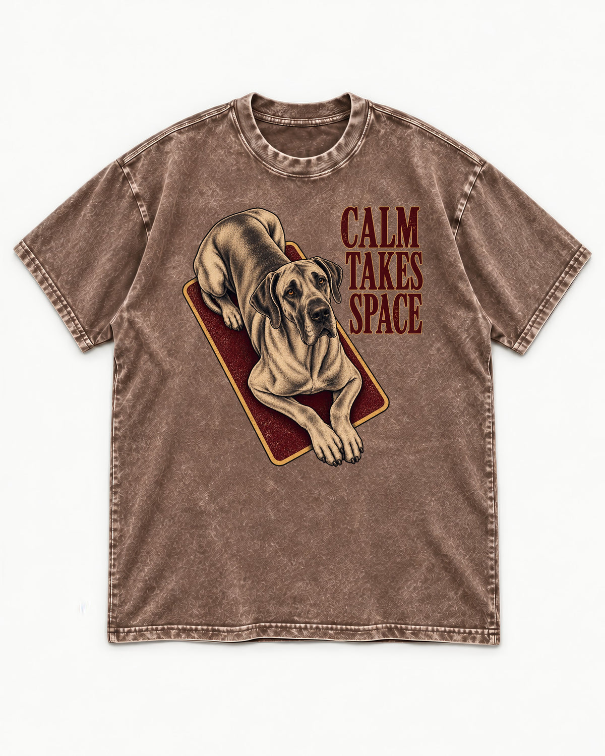 Great Dane Calm Takes Space Washed Tee in Coffee, flat lay product photo