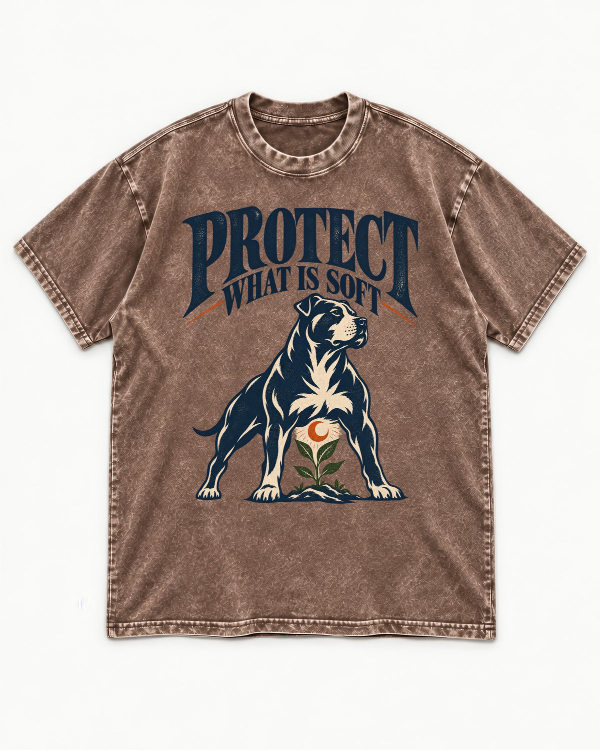 Protect What Is Soft Pitbull Washed Tee in Coffee, flat lay product photo