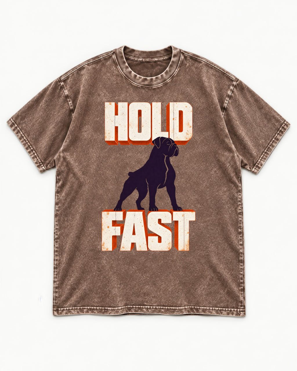 Hold Fast Boxer Typography Graphic Washed Tee in Coffee, flat lay product photo