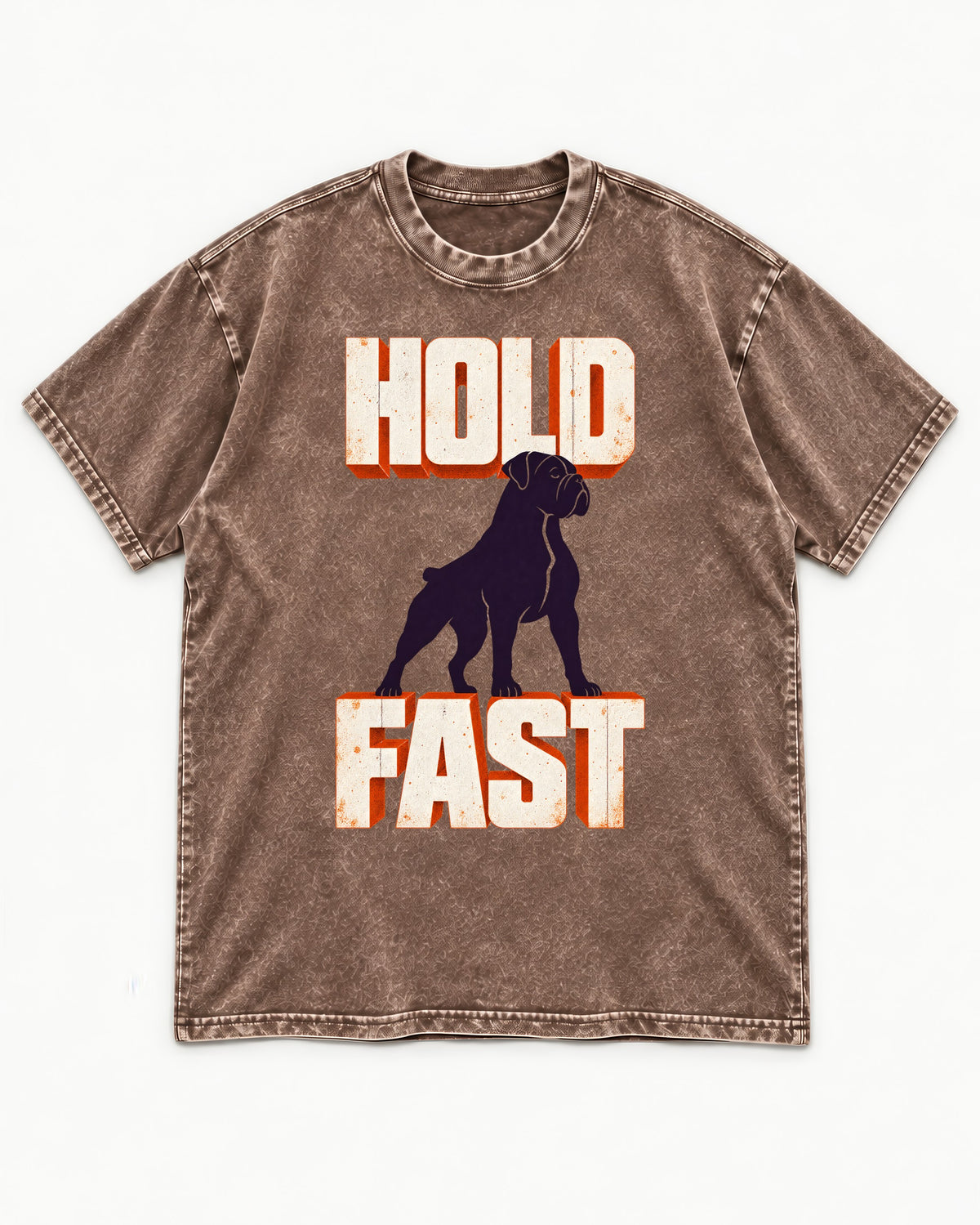 Hold Fast Boxer Typography Graphic Washed Tee in Coffee, flat lay product photo