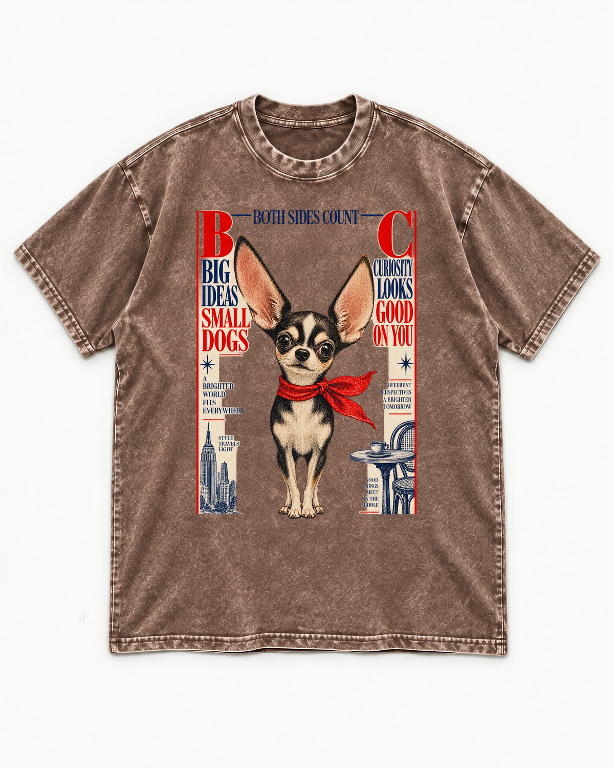 Chihuahua Big Ideas Washed Tee in Coffee, flat lay product photo
