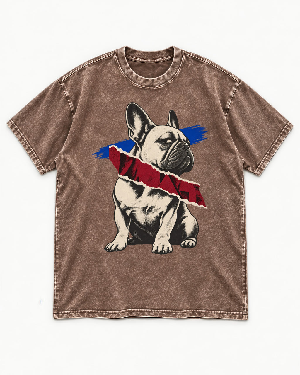 Frenchie Punk Washed Tee in Coffee, flat lay product photo