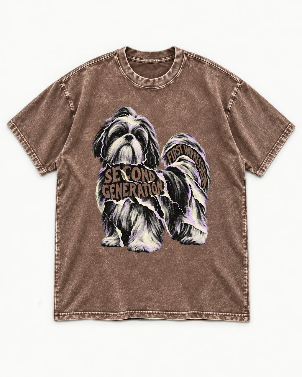 Second Generation Shih Tzu Washed Tee in Coffee, flat lay product photo