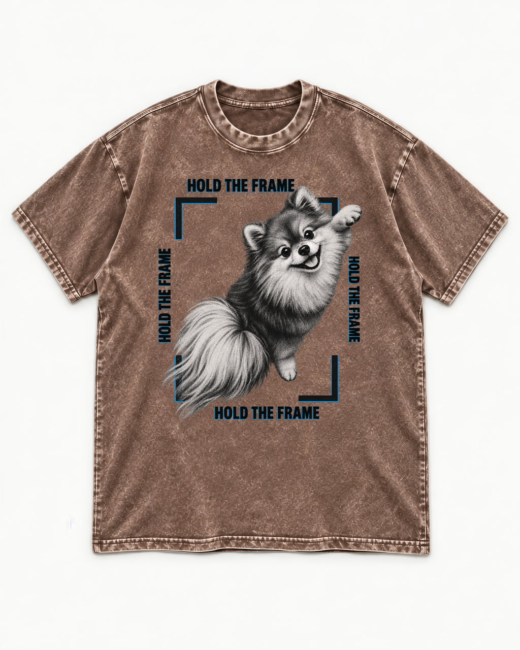 Hold the Frame Pomeranian Washed Tee in Coffee, flat lay product photo