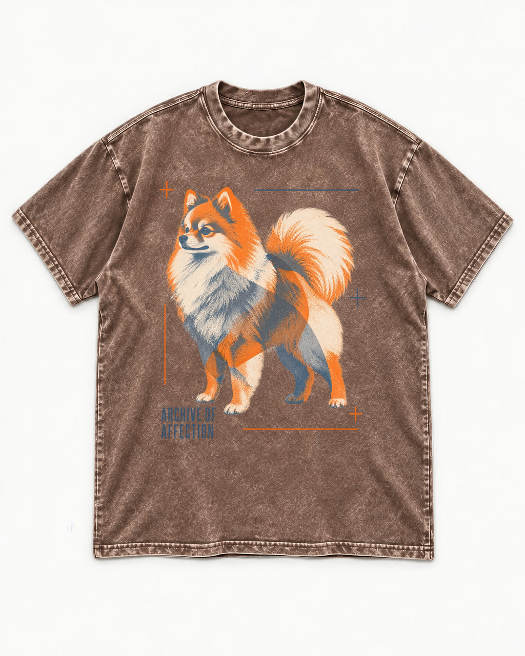 Pomeranian Archive of Affection Washed Tee in Coffee, flat lay product photo