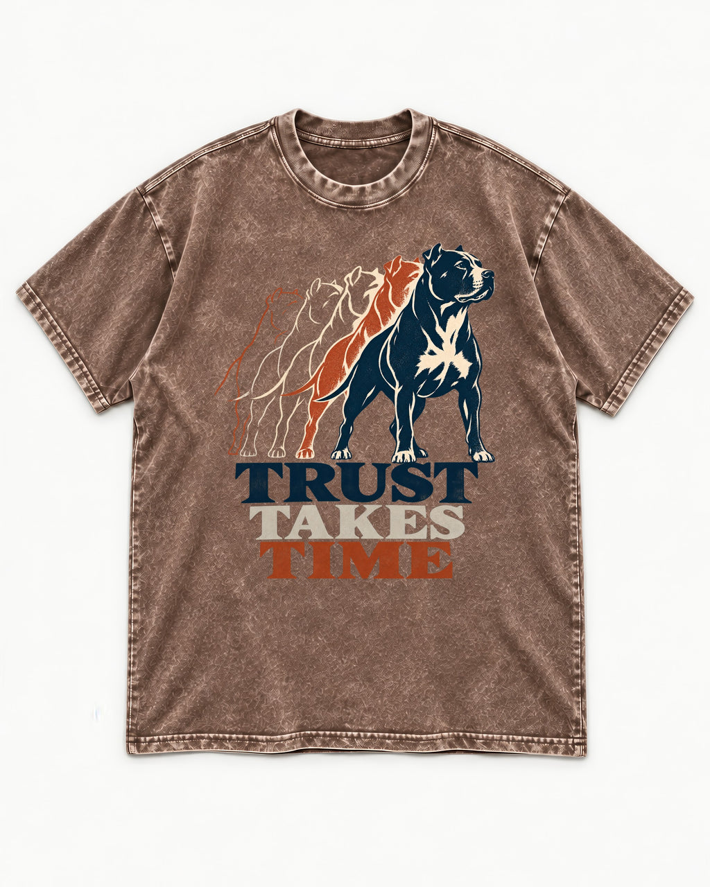 Pitbull Trust Takes Time Progression Graphic Washed Tee in Coffee, flat lay product photo
