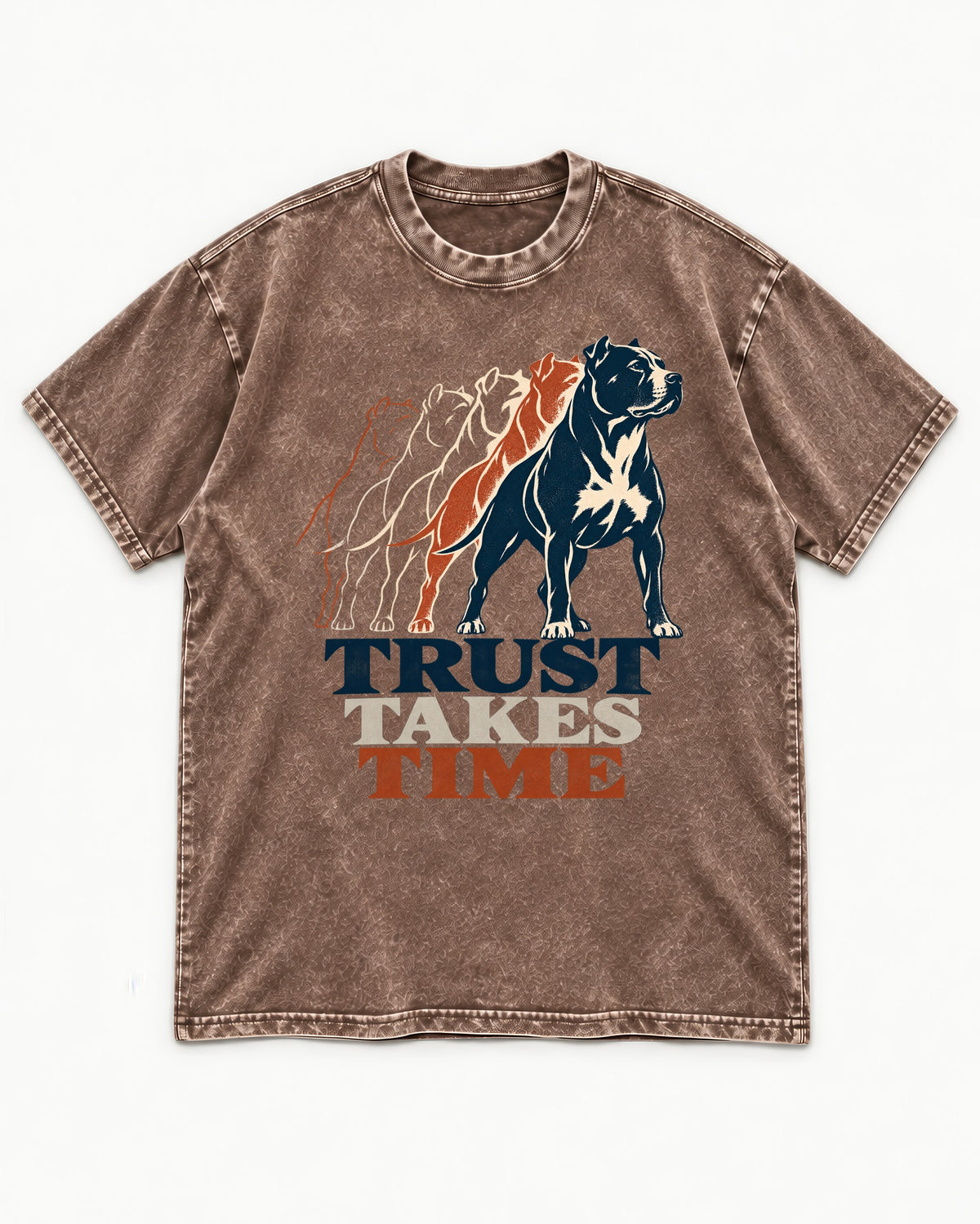 Pitbull Trust Takes Time Progression Graphic Washed Tee in Coffee, flat lay product photo