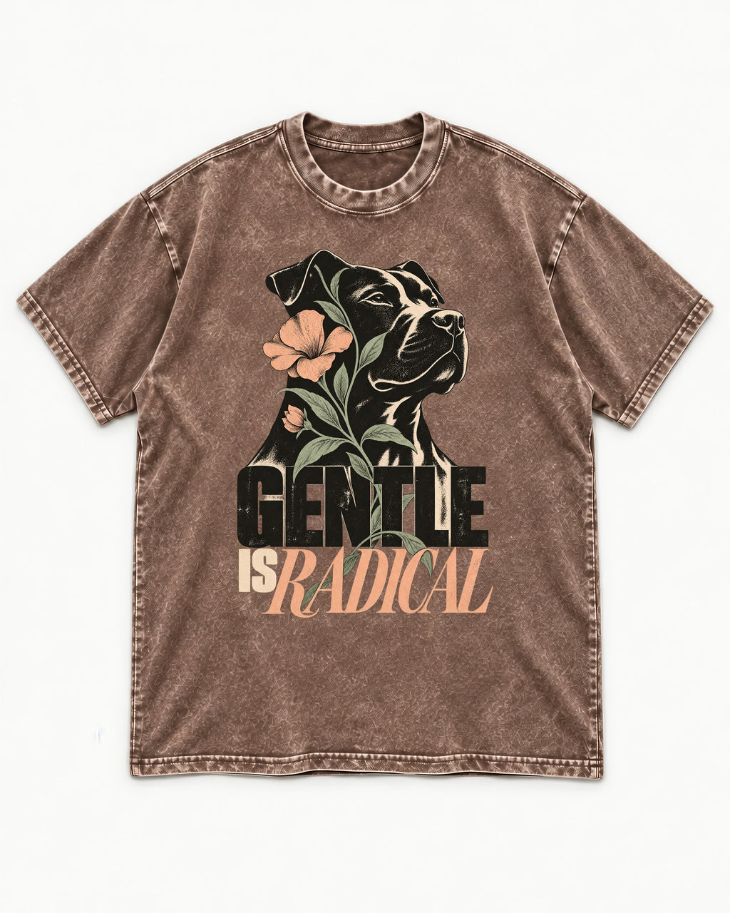 Gentle Pitbull Is Radical Washed Tee in Coffee, flat lay product photo