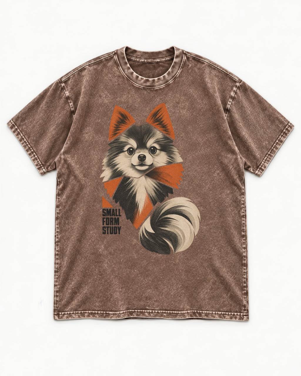 Pomeranian Small Form Study Washed Tee in Coffee, flat lay product photo